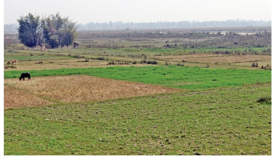 जग्गा एउटाको, पुर्जा अर्कैको